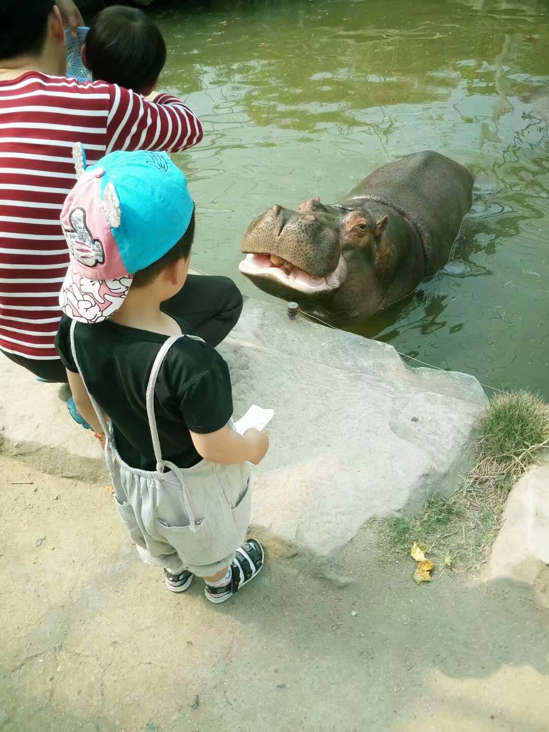 云南野生动物园免票吗,云南野生动物园有什么好玩的