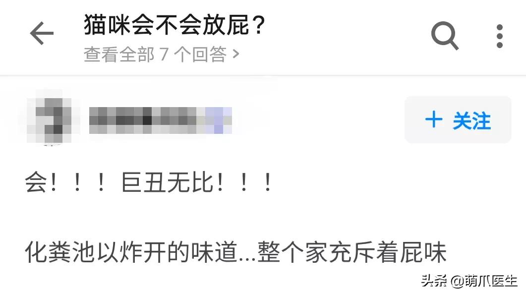 猫放屁把自己臭吐了,猫居然也会吐口水