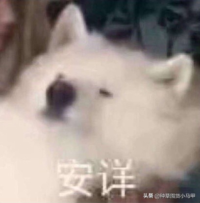 芮一面膜有激素超标吗,网红面膜产品打假测评