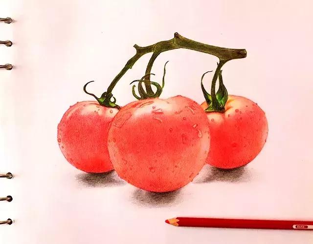 儿童彩铅画番茄,彩铅画写生番茄