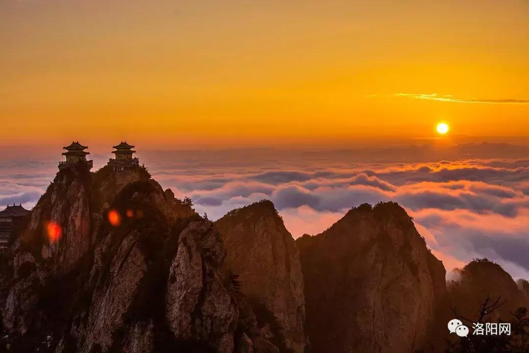 洛阳向全球推介,洛阳向世界发出邀请