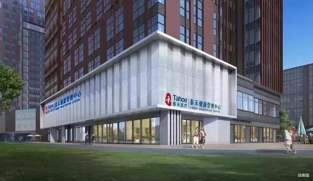 网红神盘最新消息,网红神盘