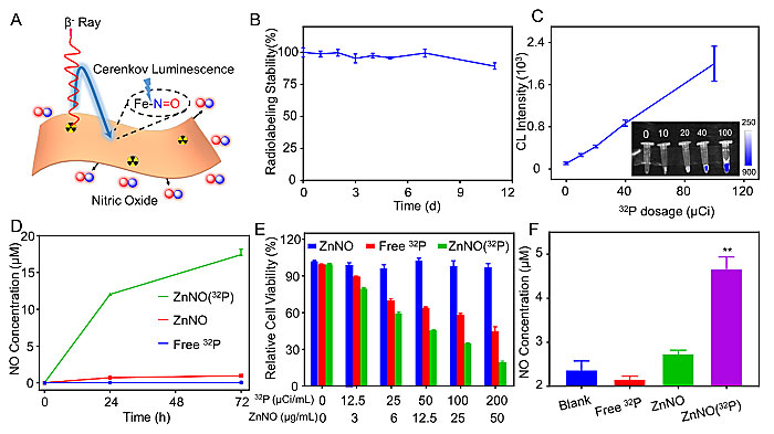刘庄团队:自激发二维纳米材料,增强核素-免疫联合治疗