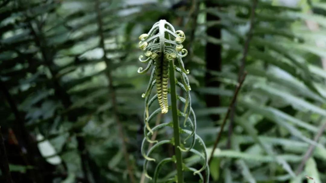 2017年迈阿密艺术博览会作品展示,2019年迈阿密魅力秀