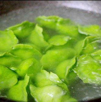 韭菜可以和茴香豆腐一起包饺子吃,茴香豆腐菜盒子的做法大全集