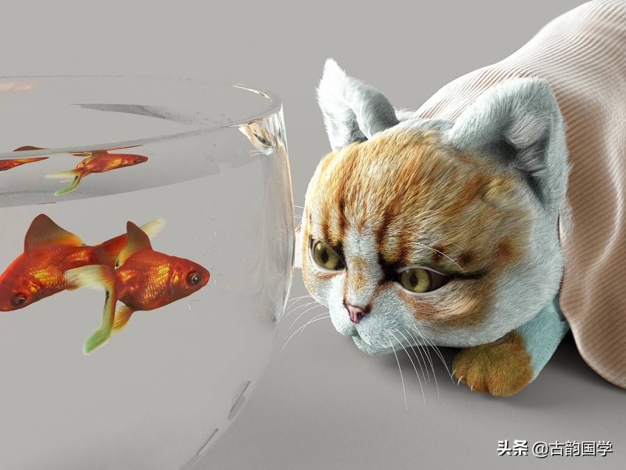 最喜欢的小动物0-3岁儿童启蒙儿歌,0-6岁儿歌100首动物