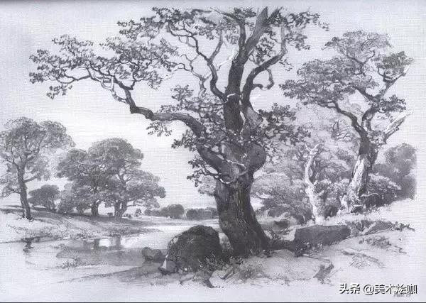 静物素描风景图临摹,简单又好画的彩铅素描风景图