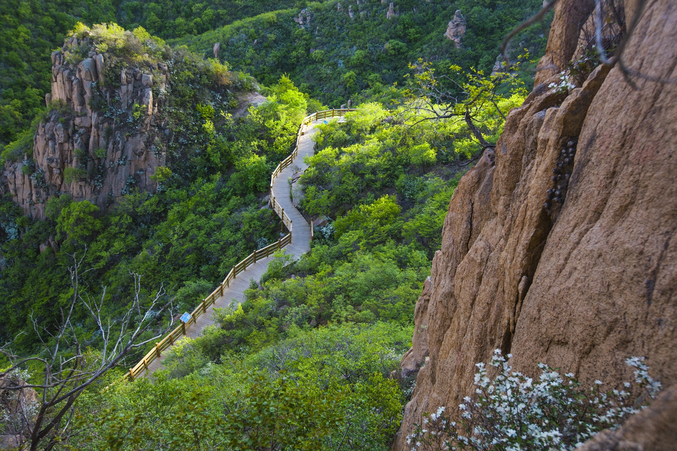 辽宁省朝阳市特色小吃饭店,辽宁各个城市的特色小吃