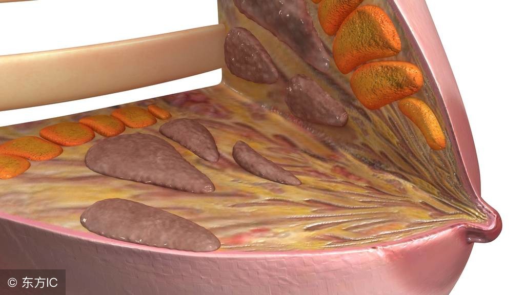 深度解析丰胸产品内幕,丰胸的科学解释