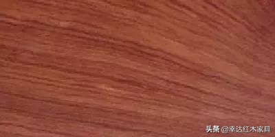 看完这篇红木图解你就是专家,红木百科知识图解