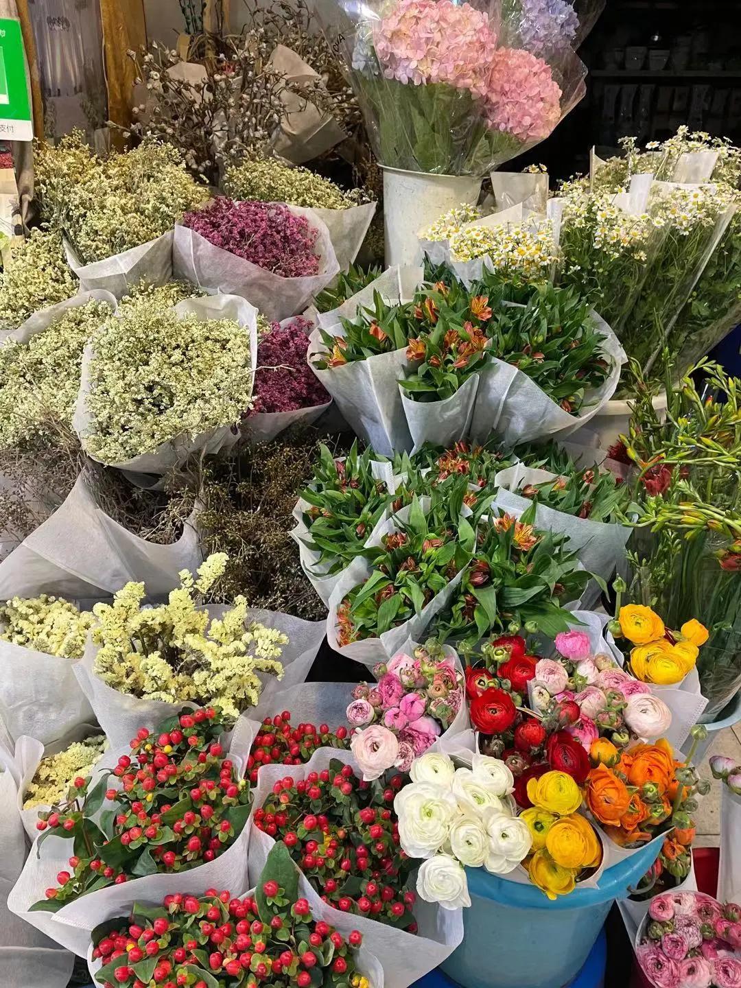 实拍青岛花卉市场！你每年都会选购哪些品种的年宵花呢？