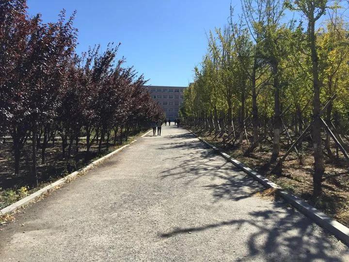 辽宁省高校（三十一）大连医科大学