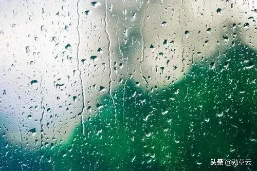 天下雨了可以打伞吗,天下雨了自己撑伞