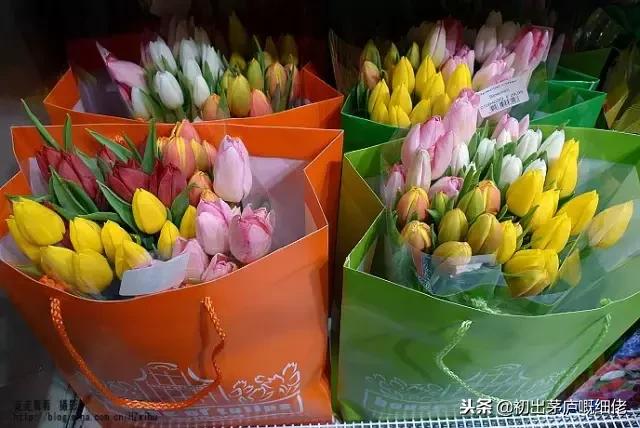 21国机场免税攻略,亚洲机场必买清单