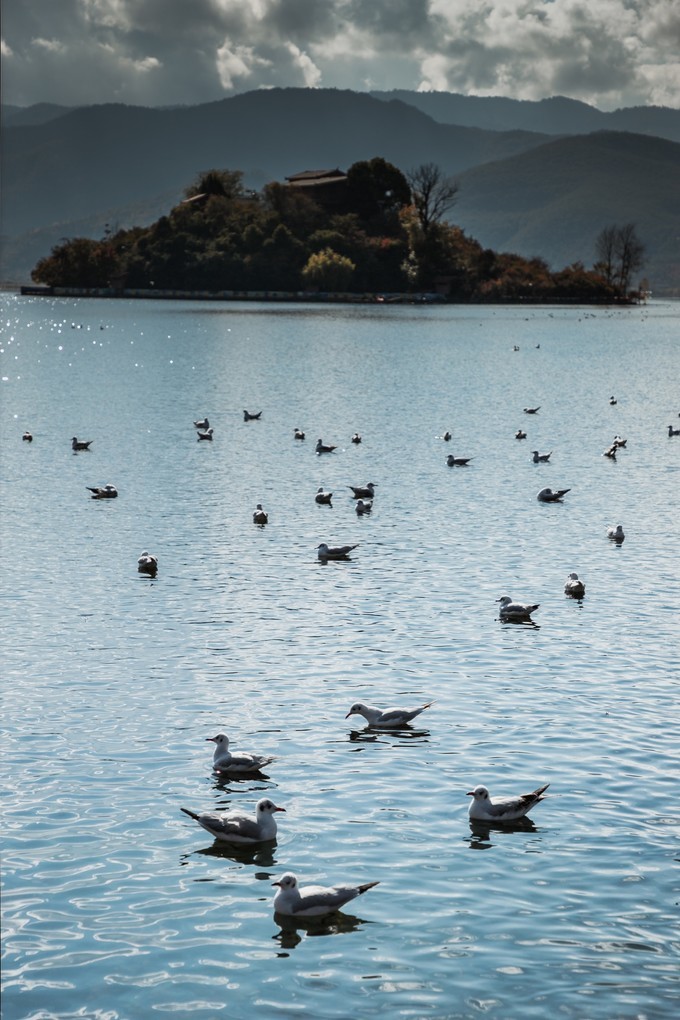 消失的地平线上的“香巴拉”和“女儿国”（二）