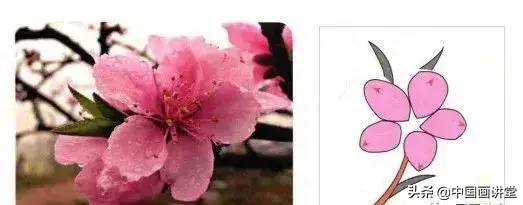 桃花国画画法,桃花的画法国画