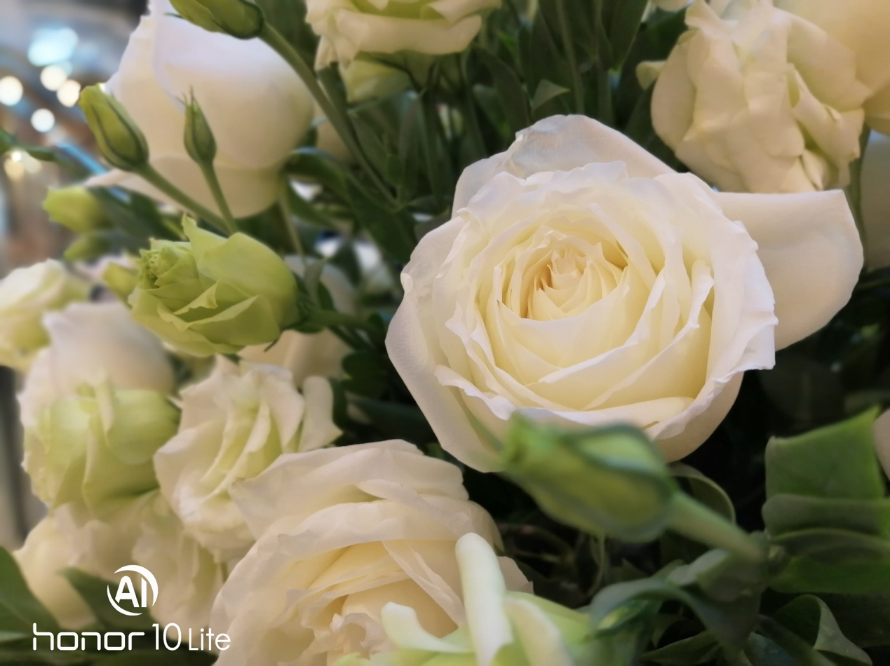 2000万柔光自拍照亮你的美,5000左右自拍美颜