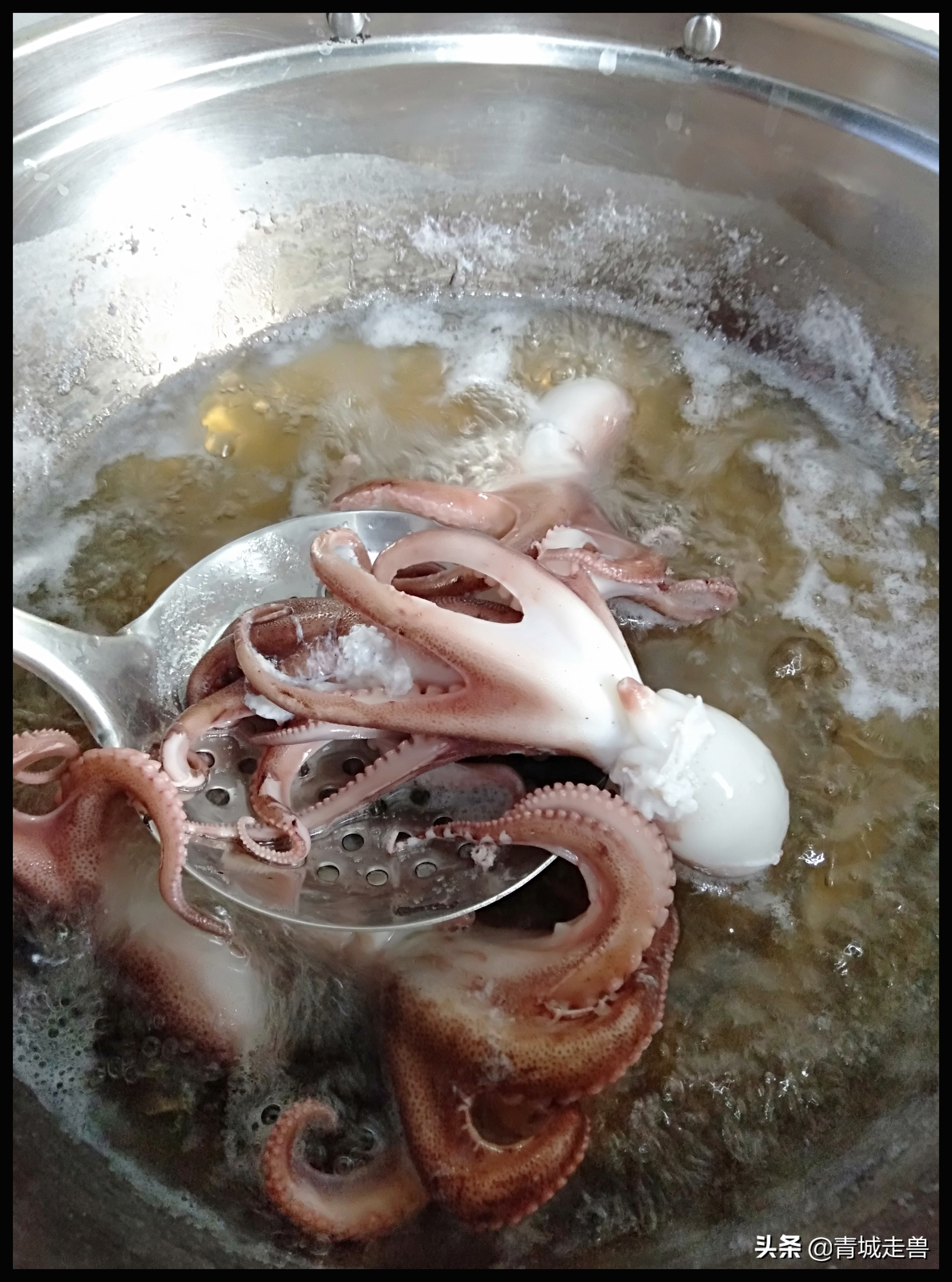 胶东八带家庭做法,胶东人喜欢吃的菜