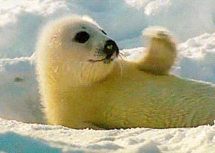 过来人揭秘婚姻的真相,揭秘婚姻的真实经历