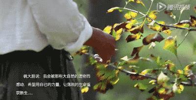 她31岁放弃北漂，回归自然，用枯枝败叶，打造了一个梦幻森林