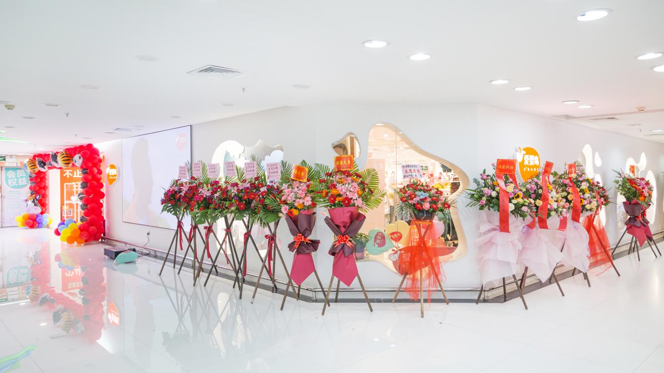 实体店爱婴岛营销,爱婴岛双店商业模式