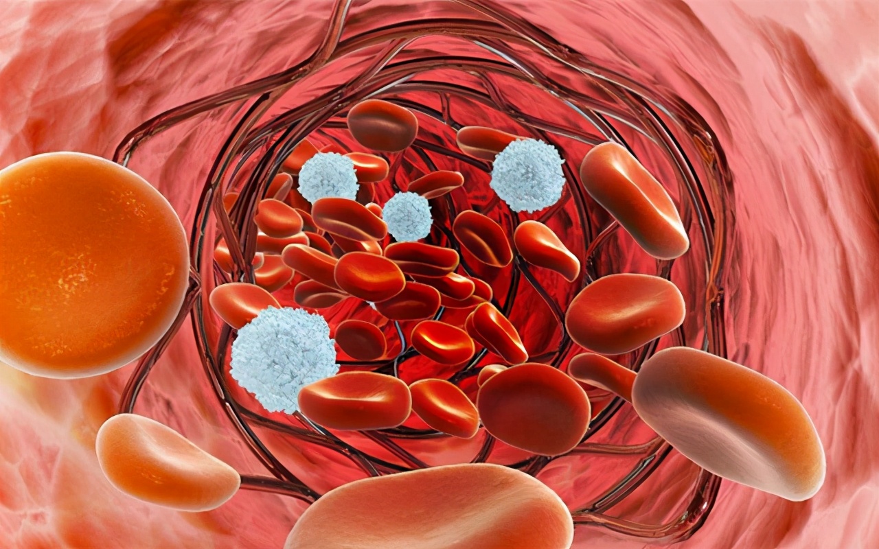 过敏性紫癜久治不愈吃中药有用吗,过敏性紫癜吃中药调理要多少时间