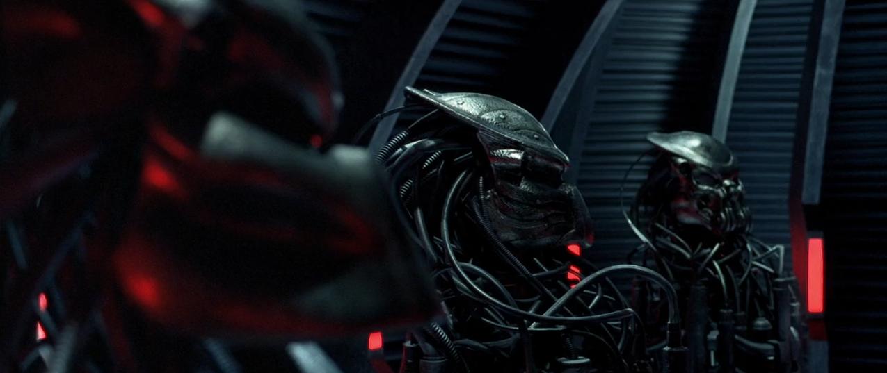 铁血战士系列解析,铁血战士形态全部解析