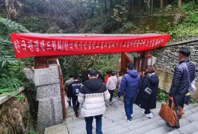 看不上“中国游客”的国家，对中国人一脸嫌弃，中国人却没减少