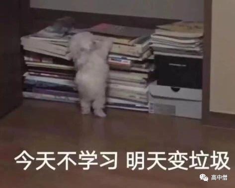 如何逼自己努力学习初中,如何靠一个暑假提升自己