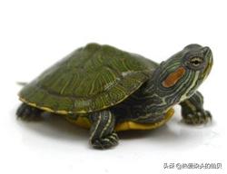 想要转运有什么办法,想要转运戴什么好