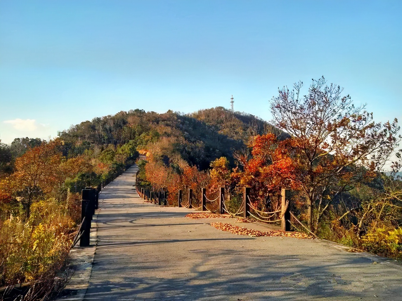 舟山普陀区经济排名,舟山普陀百强区