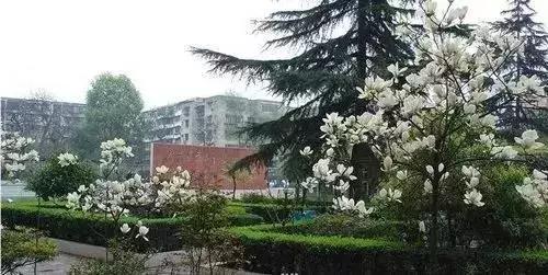 走近名校,田家炳中学怎么样