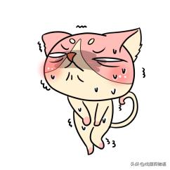 别大意，猫咪尿频尿急尿不尽，要了命