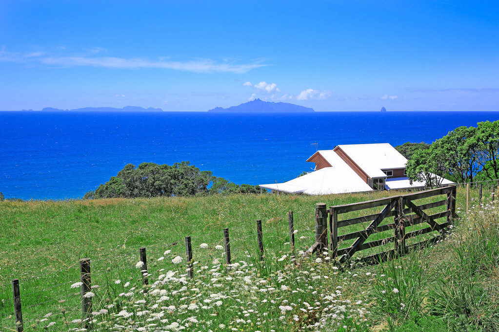 出国打工做服务员经历,去上海当服务员一年可以挣多少