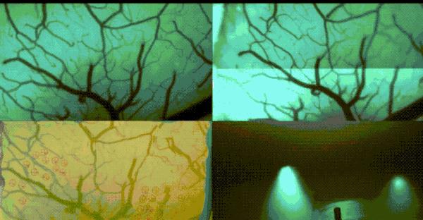 马斯克脑机接口如何实现意识永生,马斯克的人类脑机接口即将实现