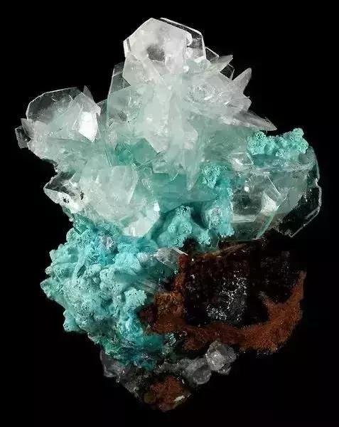 世界上令自己眸生情,见到后再也不爱别人的51个丽人