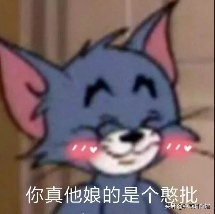 买贵的衣服好还是便宜的好,买贵衣服好吗