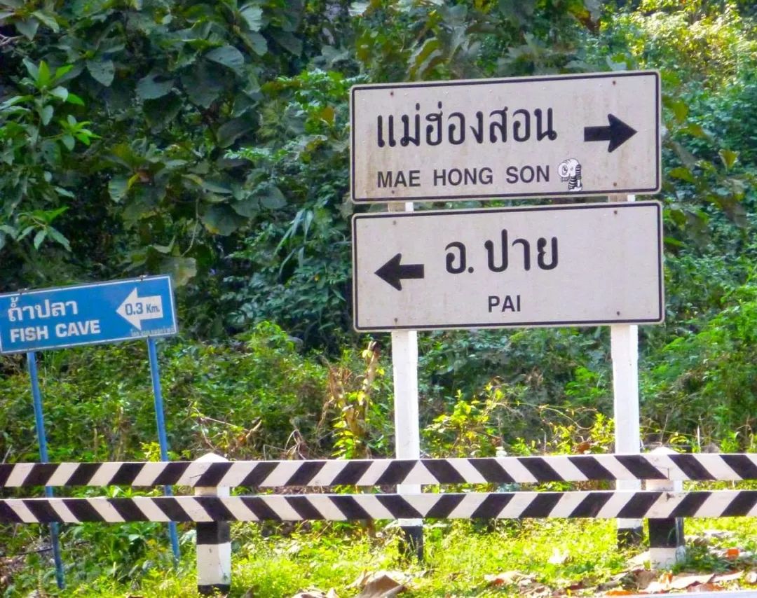 夜丰颂到清迈巴士,夜丰颂府旅行