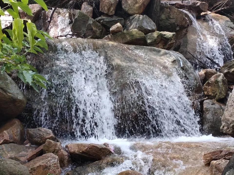 被央视打卡的梨花胜境，千亩白瓣状似雪花，济南莱芜区还有这些国家级景区不容错过！