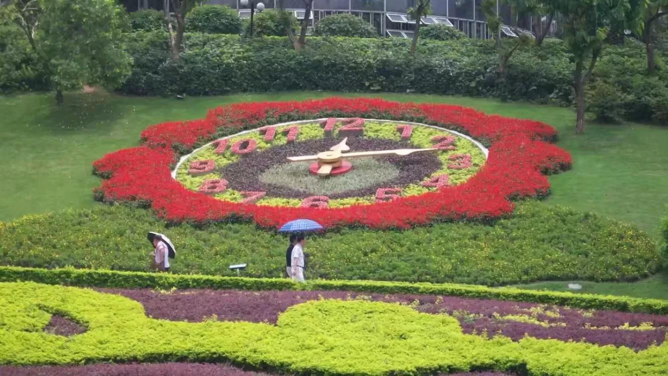广州云台花园鸟语花香好去处,雨中的广州云台花园