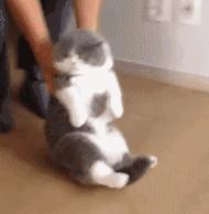 三维动画师是什么职业种类,三维动画师就业前景