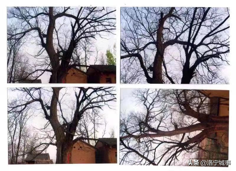 梅铺镇草庙岭,草庙岭游玩