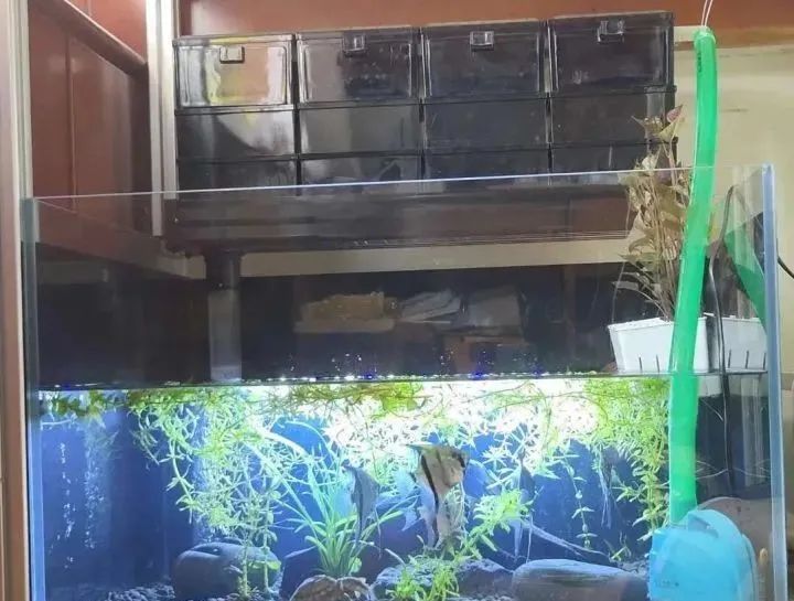 如何选择一个好的过滤器,今年最值得入手的过滤器