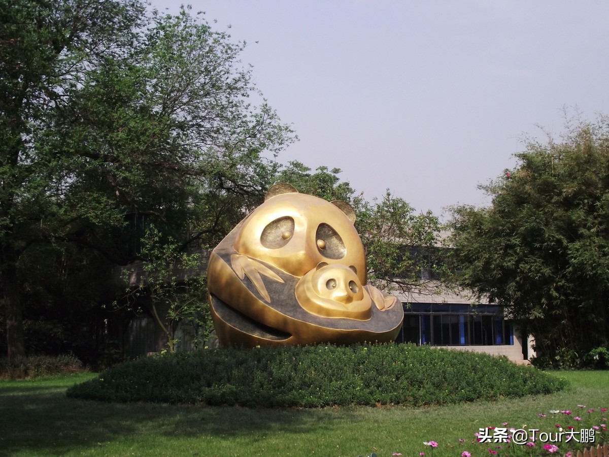 成都天府二街美食,成都天府夜间美食攻略