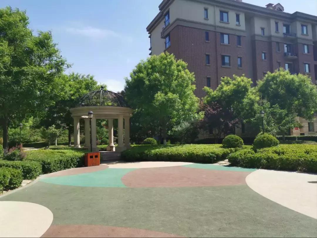 关于龙湾城片区院长这么说，附带优质社区踩盘，你们猜猜是哪里？