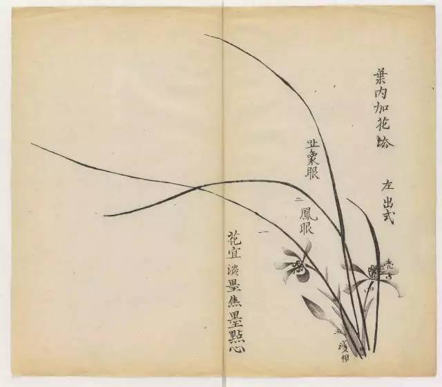 毛笔怎么画兰草,怎么画兰花和书法