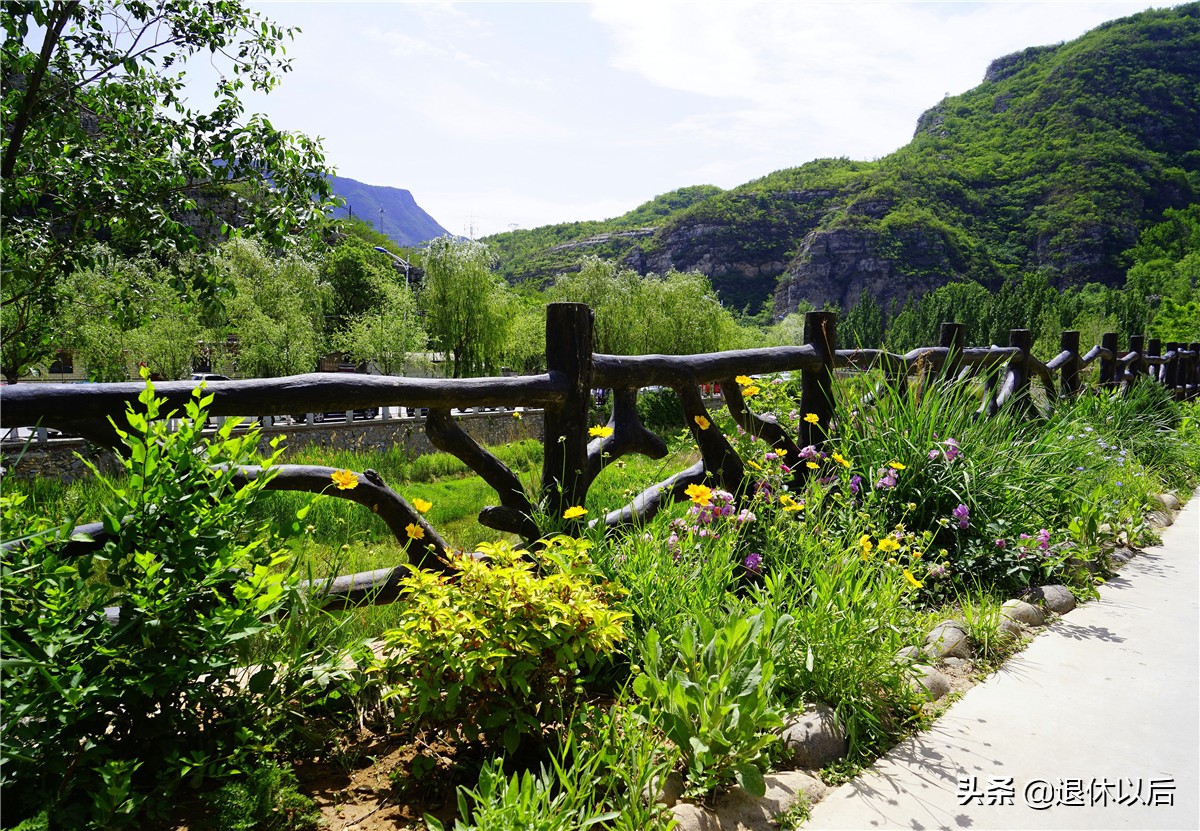 森林中的童话树屋,原始森林里的童话世界