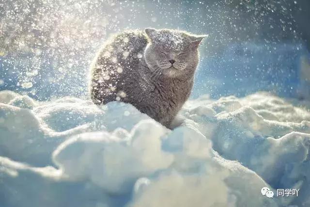 中国十大最强医学大学排名,中国最好的医学大学排行