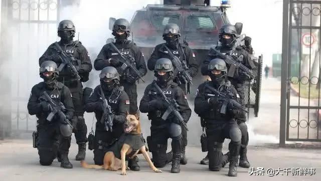 世界十大经典特种作战,世界十大特种部队战绩极为经典