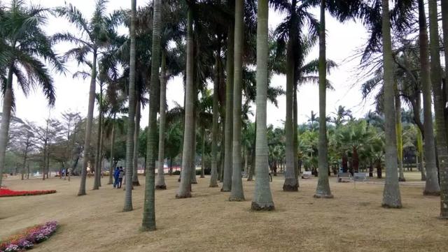 你眼中的珠海城市面貌,怎么评价珠海这个城市